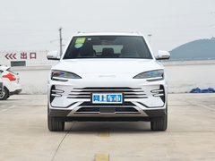 2024款 荣耀版 DM-i 110km 旗舰型