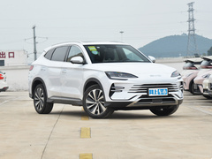 2024款 荣耀版 DM-i 110km 旗舰型