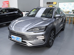 2024款 荣耀版 DM-i 110km 旗舰PLUS