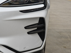 2024款 荣耀版 EV 520km 尊贵型