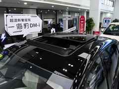 2024款 荣耀版 DM-i 1.5T 200km 旗舰型