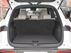2024款 荣耀版 DM-i 110KM超越型