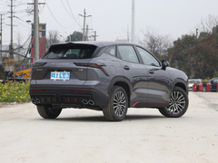2024款 1.6T DCT 龙腾版MAX