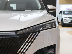 2024款 荣耀版 DH-i 1.5T 豪华型