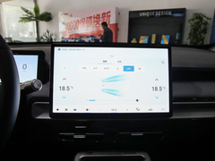 2024款 Plus 310 星耀版