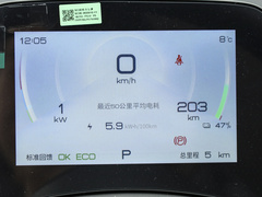 2024款 荣耀版 430KM 领先型