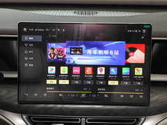 2024款 EV 600 四驱尊贵型