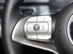 2024款 荣耀版 305km 活力版