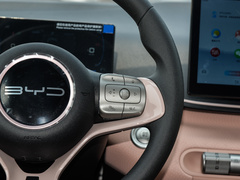 2024款 荣耀版 305km 活力版