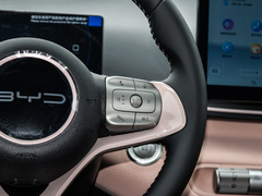 2024款 荣耀版 305km 自由版