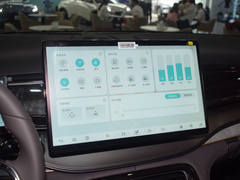 2024款 荣耀版 DM-i 100KM 豪华型