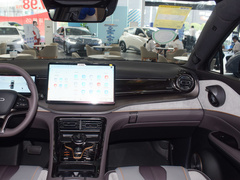 2024款 荣耀版 DM-i 100KM 豪华型