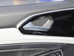 2024款 280TSI 自动旗舰高光版
