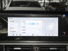 2024款 冠军版 290TGDI DCT豪耀版 7座