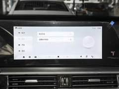 2024款 冠军版 290TGDI DCT豪耀版 7座