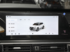 2024款 冠军版 290TGDI DCT豪耀版 7座