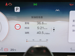 2024款 2.5T 四驱旗舰版 5座