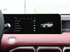 2024款 冠军版 1.5T 手动冠军 5座
