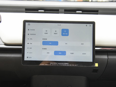 2024款 青春版 321km 钟爱版 29.23kWh