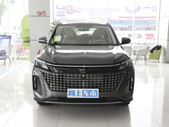 2024款 荣耀版 1.5L DE-i 100KM畅享型 7座