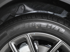 2024款 荣耀版 1.5L DE-i 100KM畅享型 7座