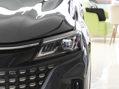 2024款 荣耀版 1.5L DE-i 100KM畅享型 7座