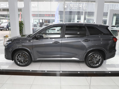 2024款 荣耀版 1.5L DE-i 100KM尊享型 5座