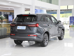 2024款 荣耀版 1.5L DE-i 100KM尊享型 5座