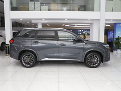 2024款 荣耀版 1.5L DE-i 100KM尊享型 5座