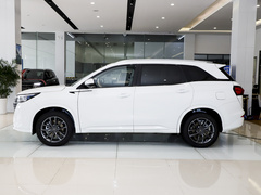 2024款 荣耀版 1.5L DE-i 100KM尊享型 7座