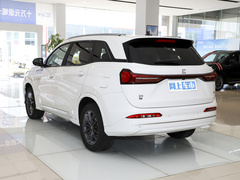 2024款 荣耀版 1.5L DE-i 100KM尊享型 7座