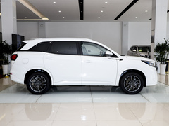 2024款 荣耀版 1.5L DE-i 100KM尊享型 7座
