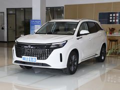 2024款 荣耀版 1.5L DE-i 100KM尊享型 7座