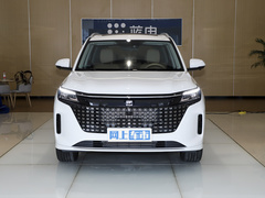 2024款 荣耀版 1.5L DE-i 100KM尊享型 7座