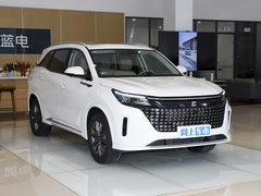 2024款 荣耀版 1.5L DE-i 100KM尊享型 7座