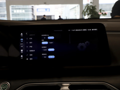 2024款 荣耀版 1.5L DE-i 100KM尊享型 7座