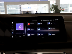 2024款 荣耀版 1.5L DE-i 100KM尊享型 7座