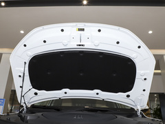 2024款 荣耀版 1.5L DE-i 100KM尊享型 7座
