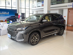 2024款 荣耀版 1.5L DE-i 100KM臻享型 5座