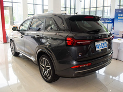 2024款 荣耀版 1.5L DE-i 100KM臻享型 5座