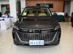 2024款 荣耀版 1.5L DE-i 100KM臻享型 5座