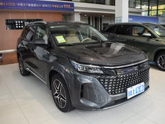 2024款 荣耀版 1.5L DE-i 100KM臻享型 5座