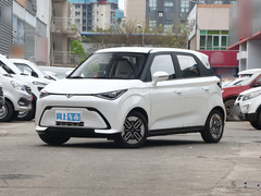 2024款 410Km Mate版 