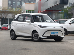 2024款 410Km Mate版 