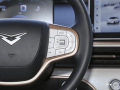 2024款 410Km Mate版 