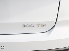 2024款 300TSI 两驱新月版