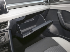 2024款 300TSI 两驱新月版