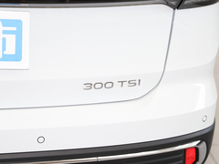 2024款 300TSI 两驱满月版
