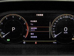 2024款 300TSI 两驱满月版