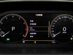 2024款 300TSI 两驱满月版